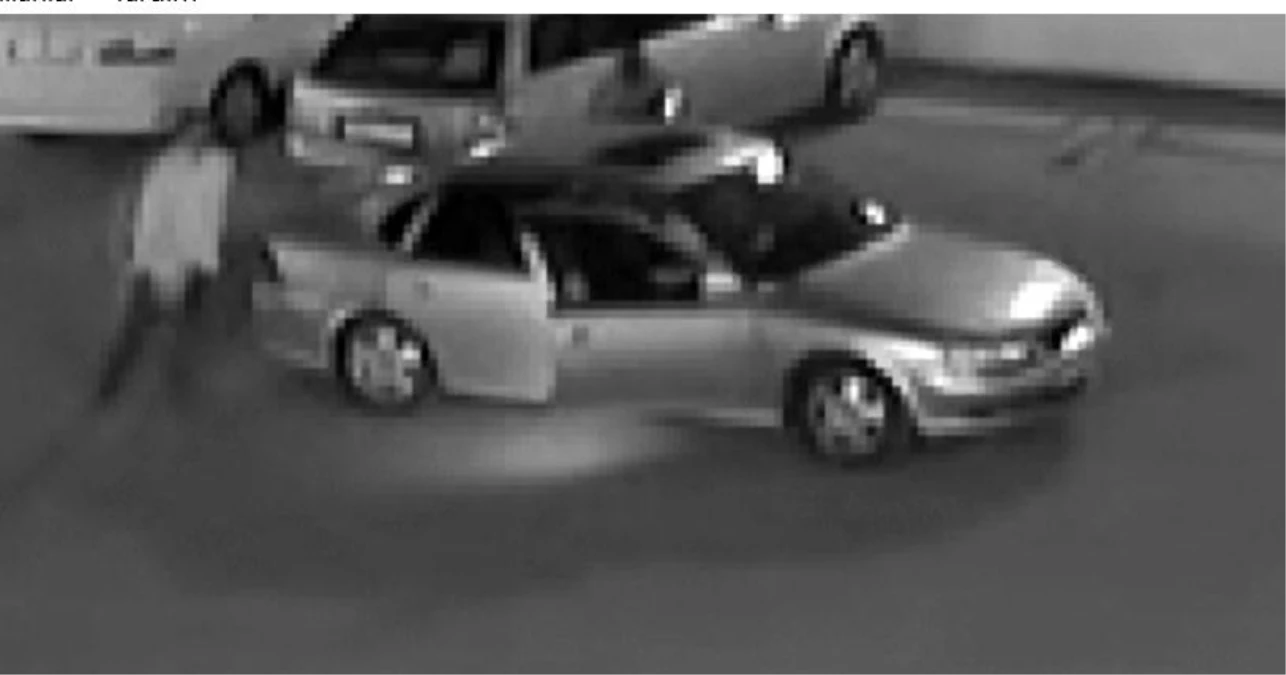 Afyonkarahisar\'da Gurbetçi Ailenin Otomobiline Hırsızlık Saldırısı