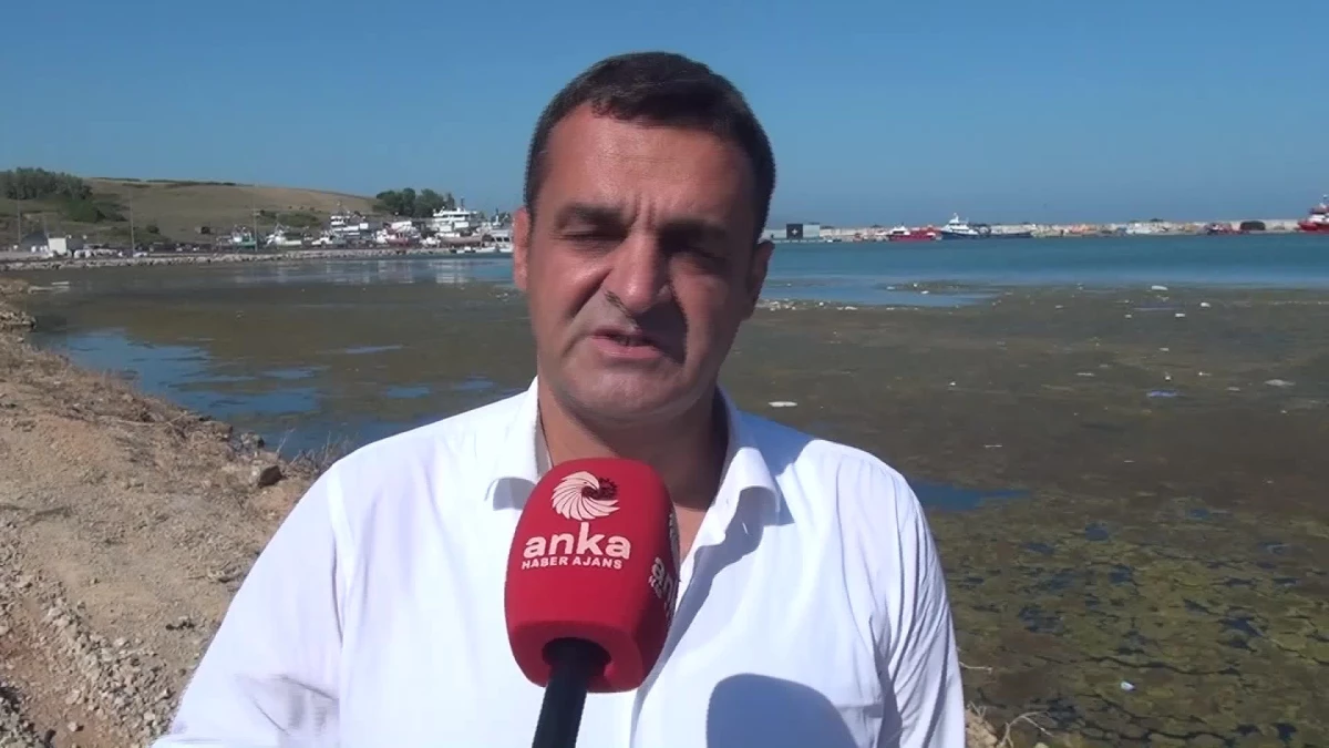 Sinop\'ta Balıkçı Barınağındaki Heyelan Sorunu Çözümsüz Kalıyor