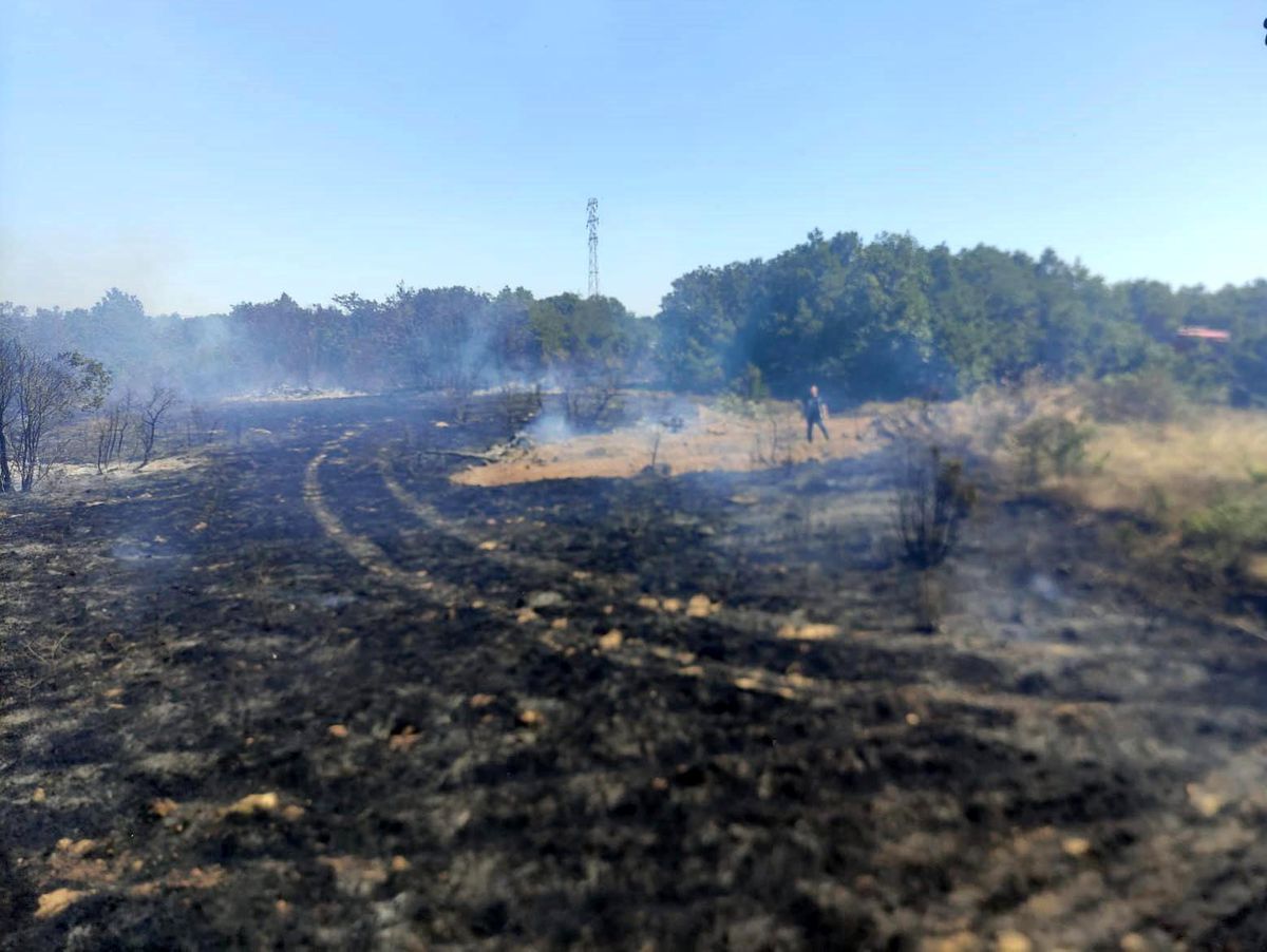 Çanakkale\'de Orman Yangını Kontrol Altına Alındı