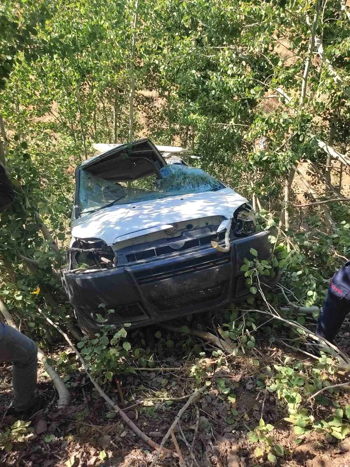 Bingöl\'ün Genç ilçesinde hafif ticari araç şarampole yuvarlandı, 2 kişi yaralandı