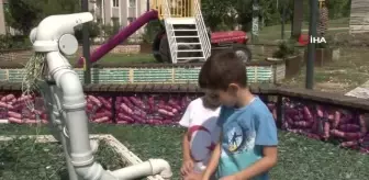 Kocaeli'de Sıfır Atık Parkı: Her Malzeme Atıklardan Yapıldı