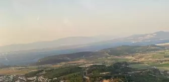 İzmir Aliağa'da Ormanda Yangın Çıktı