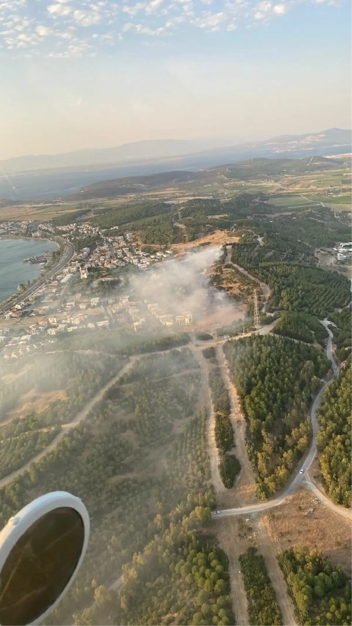 İzmir Aliağa'da Ormanda Yangın Çıktı