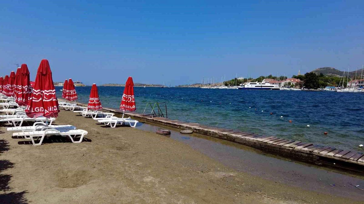 Foça\'da Denizanası İstilası Turizmi Vurdu