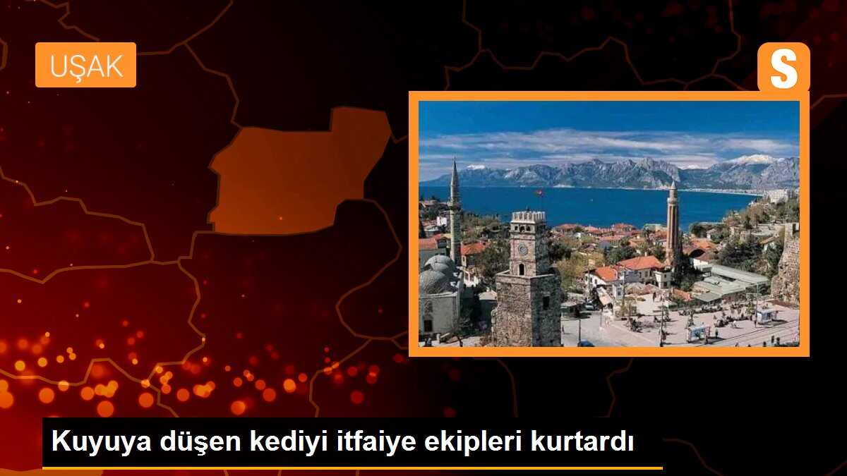 Kuyuya düşen kediyi itfaiye ekipleri kurtardı
