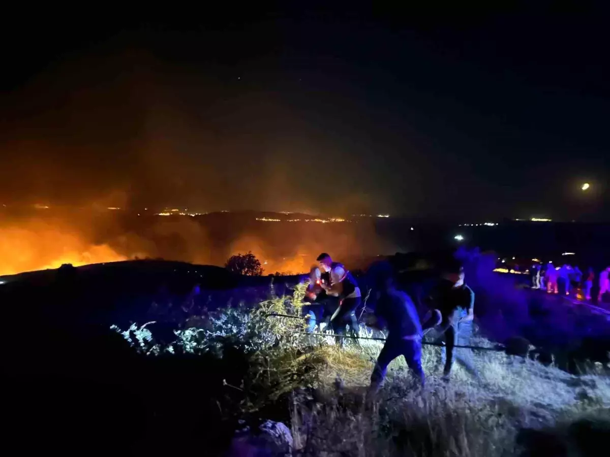 Balıkesir Marmara Adası\'nda Makilik Alanda Yangın Çıktı