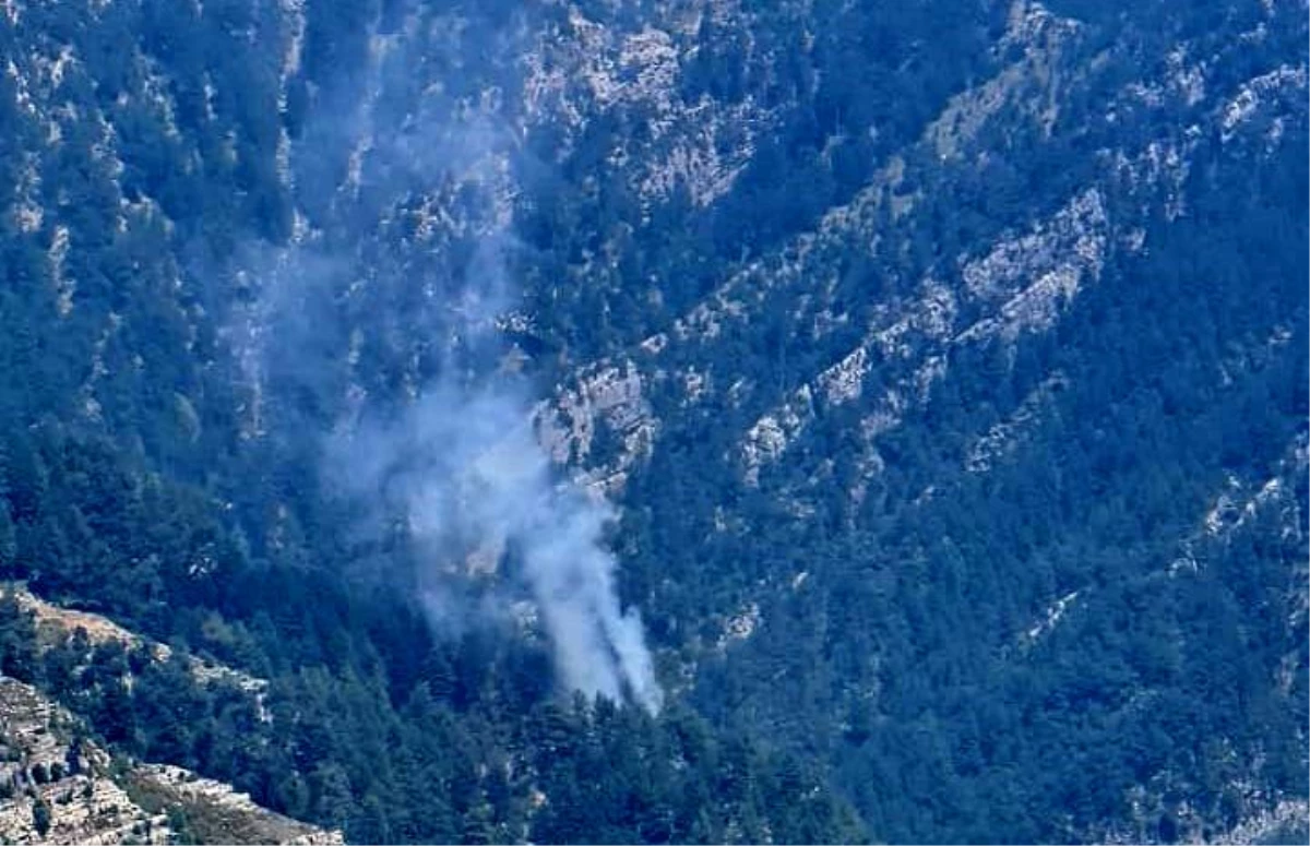 Osmaniye\'nin Düziçi ilçesinde orman yangını çıktı