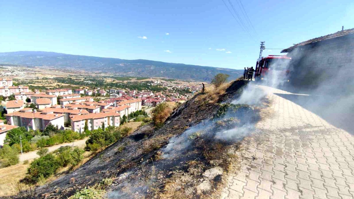 Kastamonu Tosya\'da çıkan yangın evlere sıçramadan söndürüldü