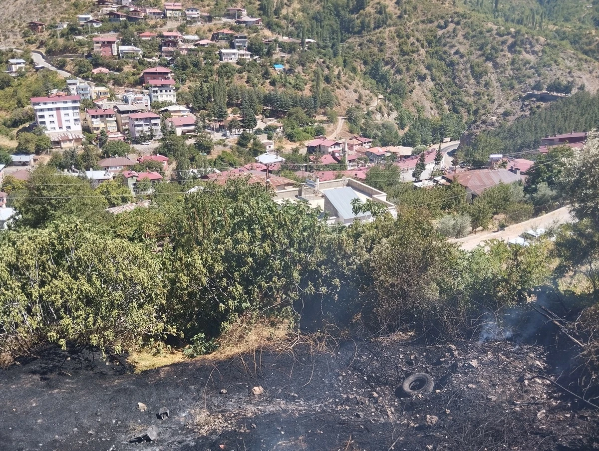 Adana\'da Saimbeyli ilçesinde çıkan bahçe yangını söndürüldü
