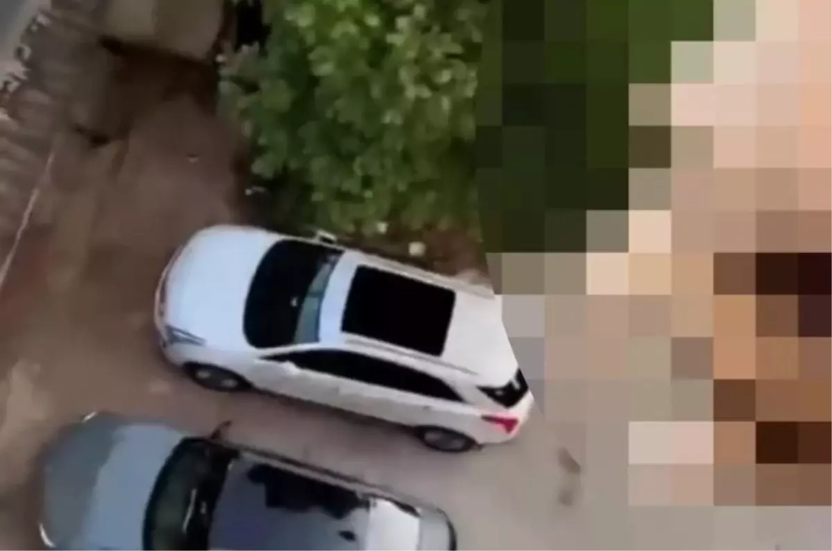 Acımasız köpek sahibi yavru köpeği işkence ederek öldürdü