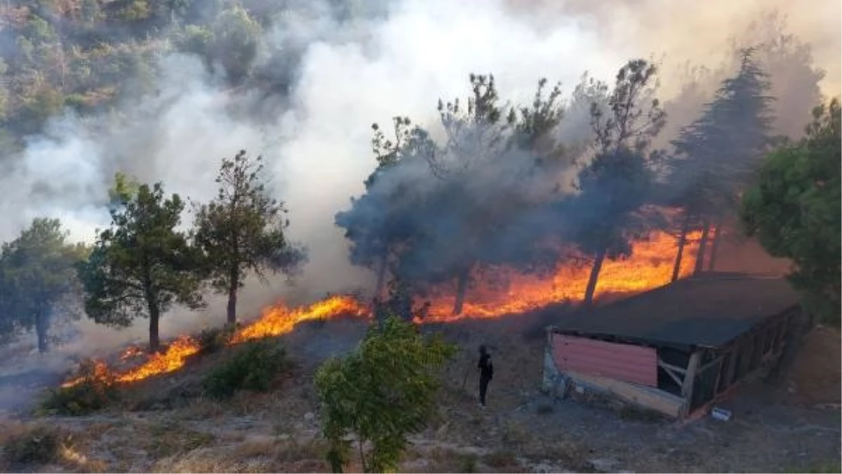 Amasya\'da Harşena Kalesi Yakınındaki Ormanlık Alanda Yangın Kontrol Altına Alınmaya Çalışılıyor