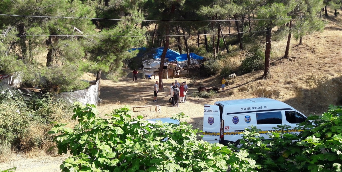 Sinop\'ta bir kişiye ait kümesten 12 tavuk çalındı