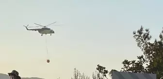 Karacabey'de çıkan yangın ormana sıçradı