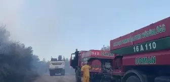 Karacabey'deki Yangın 3 Saatte Kontrol Altına Alındı