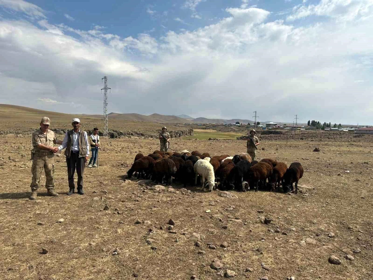 Erzurum\'da Hayvan Hırsızlığı Yapan 4 Kişi Yakalandı