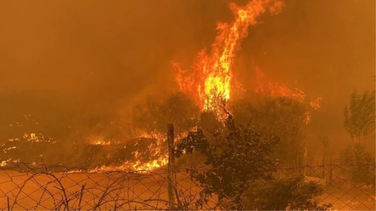 Çanakkale\'de orman yangını! İki köy boşaltıldı, karayolu trafiğe kapatıldı