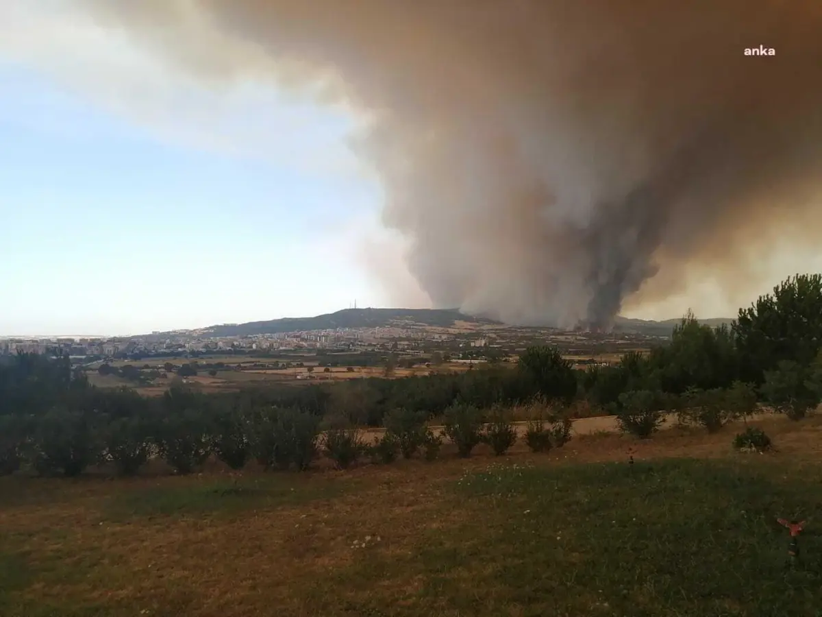 Çanakkale\'deki Orman Yangınına Müdahale Devam Ediyor
