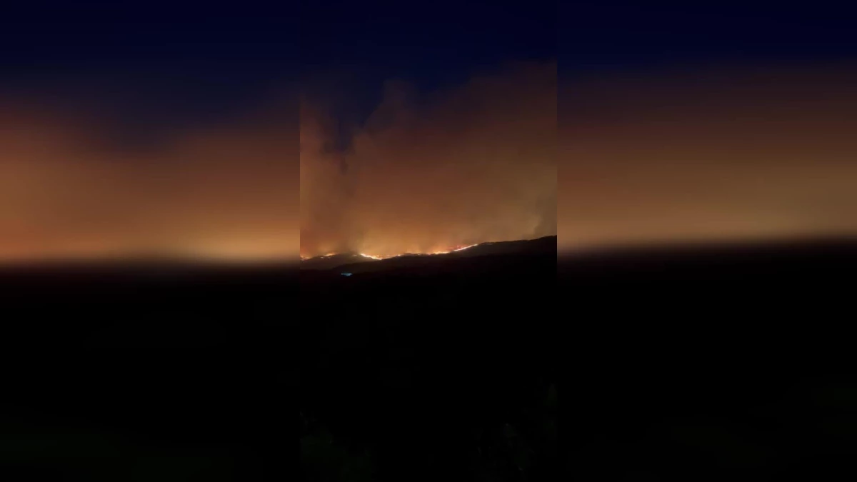 Çanakkale\'de Orman Yangını Sürüyor
