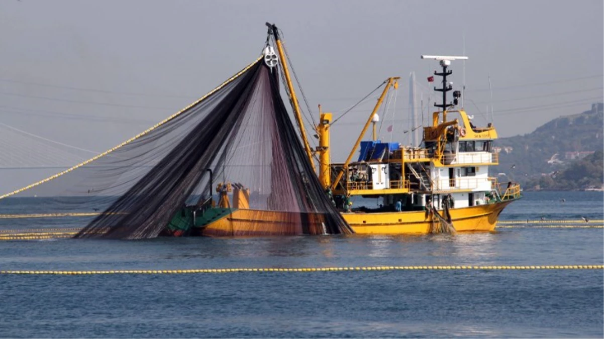 Balıkçılar \'\'Vira Bismillah\'\' demeye hazırlanıyor! Bu sezon 3 balık türünde bolluk bekleniyor