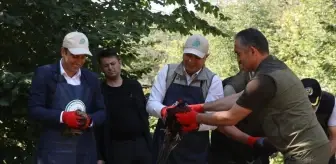 Düzce'de Ekolojik Dengeye Katkı: Sülünler Doğaya Bırakıldı