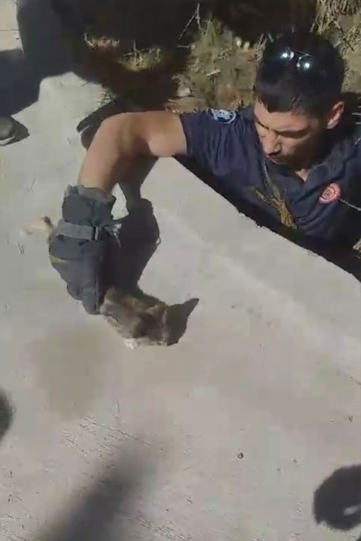 Elazığ\'da Kuyuya Düşen Yavru Kedi İtfaiye Ekiplerince Kurtarıldı
