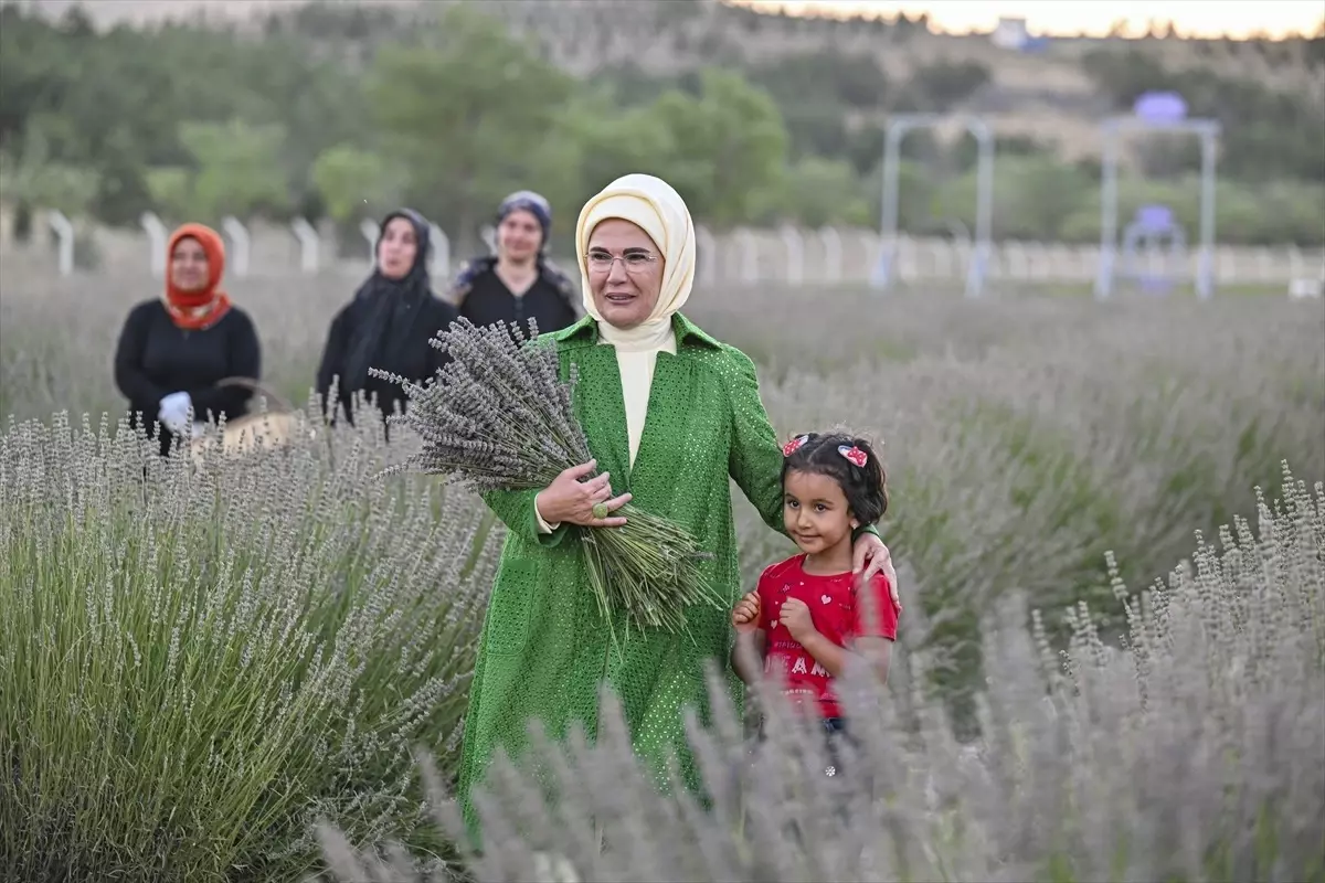 Emine Erdoğan, Ankara\'da Ekolojik Köy ziyareti ve lavanta hasadı yaptı