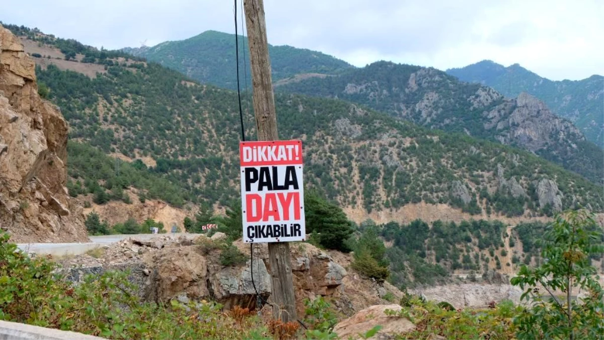 Gümüşhane\'de Pala Dayı\'nın reklam tabelaları sürücüleri şaşırtıyor