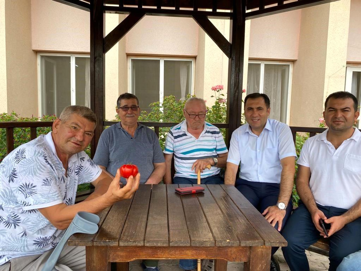 Bilecik Huzurevi\'nde Domates Hasadı Yapıldı