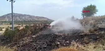 Foça'da çıkan yangın 1 saatte kontrol altına alındı