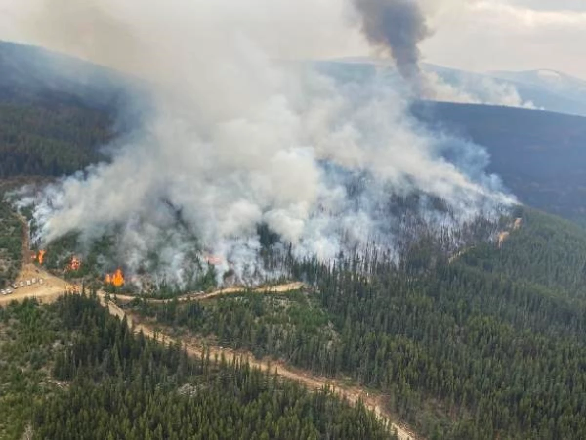 Kanada\'da çıkan orman yangınlarında 50 ev yıkıldı