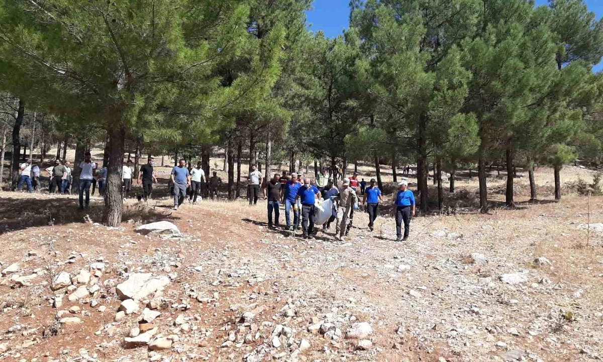 Ormanda kaybolan yaşlı adamın cansız bedenine ulaşıldı