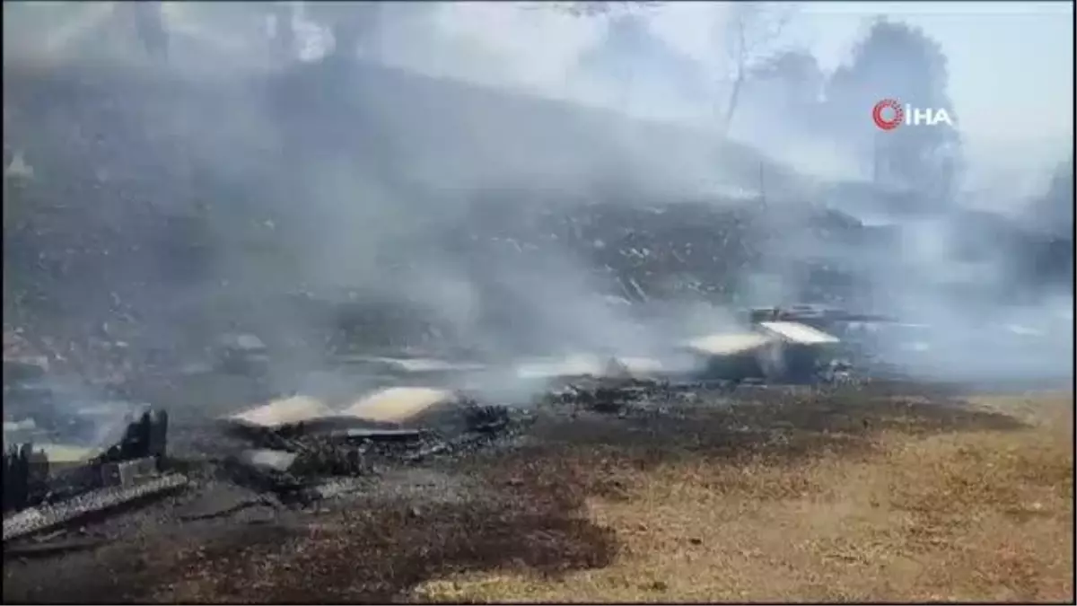 Edremit\'te çıkan yangın rüzgarın etkisiyle büyüdü