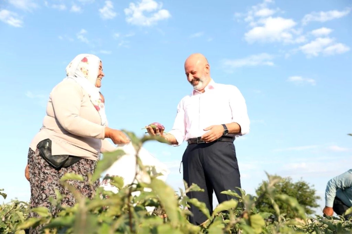 Kocasinan Belediyesi, Yamula Patlıcanı Tanıtım Etkinliği Düzenliyor