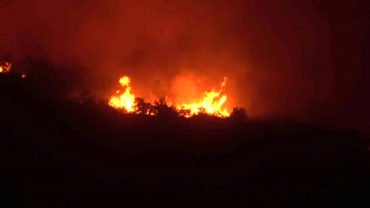 Bilecik\'te çıkan orman yangını Hayriye köyüne sıçradı