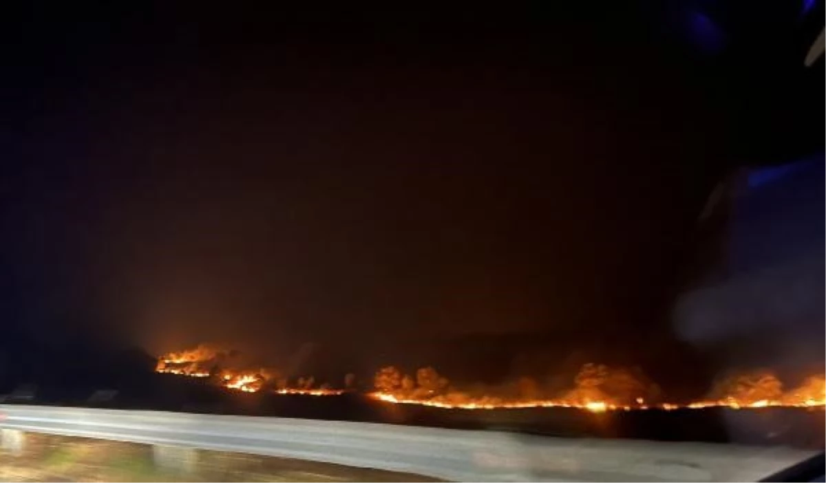 Yunanistan\'da Orman Yangınlarında 18 Mülteci Cesedi Bulundu