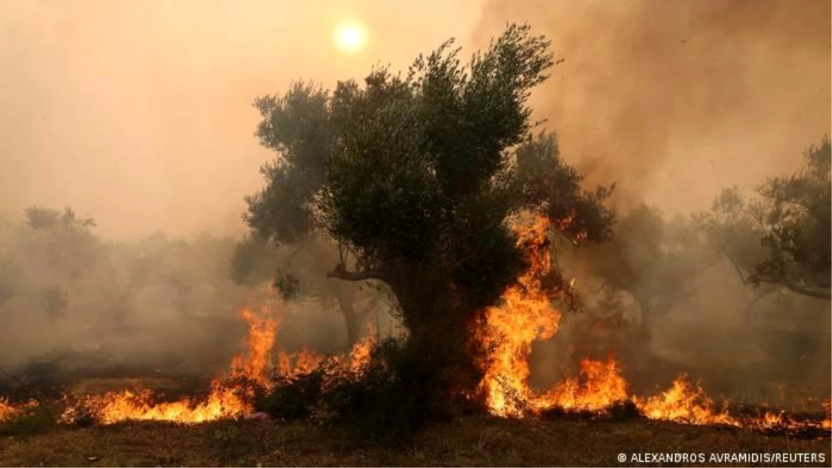 Yunanistan\'da Yangınlar Devam Ederken Göçmenlerin Yanmış Cesetleri Bulundu