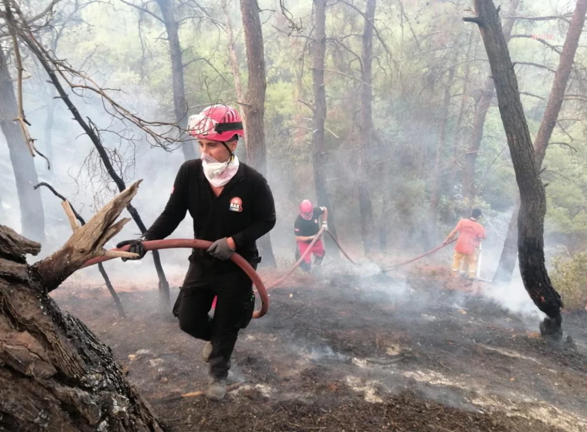 Kadıköy Belediyesi Çanakkale\'deki Yangında Soğutma Çalışmalarına Destek Veriyor