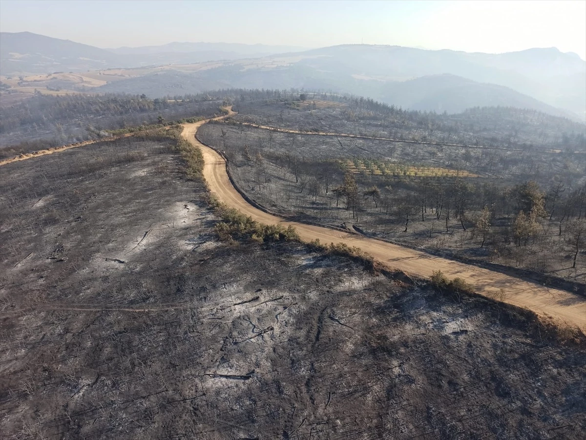 Bilecik\'teki Orman Yangını Kontrol Altına Alındı