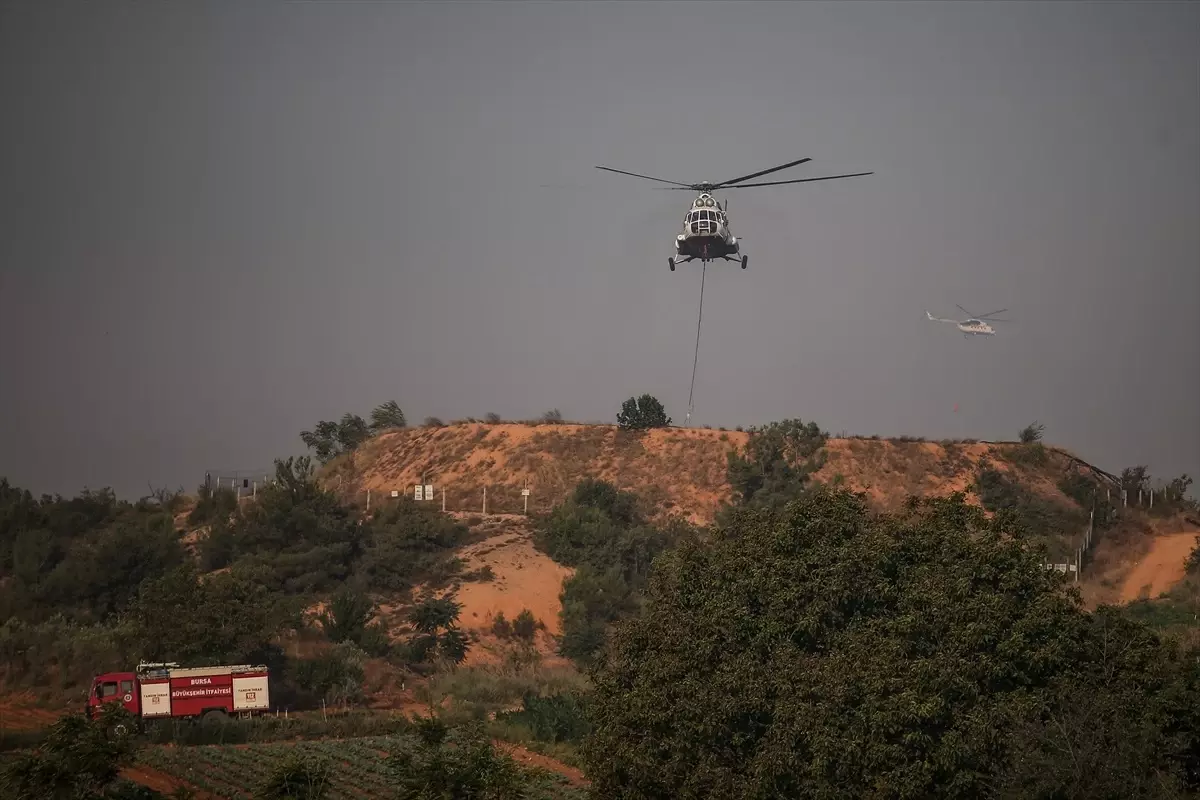 Bursa\'da devam eden orman yangınına havadan müdahale
