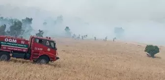 Bingöl'de çıkan orman yangını kontrol altına alındı