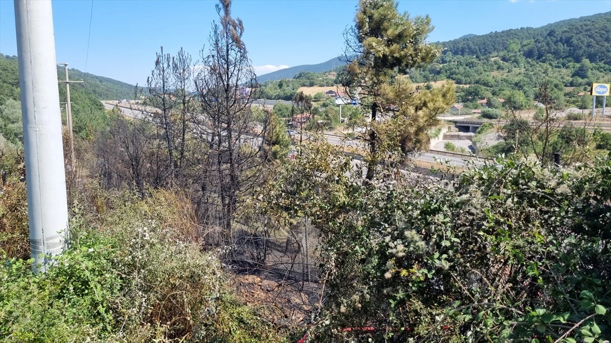 Bolu\'da Anadolu Otoyolu\'nda çıkan orman yangını kontrol altına alındı