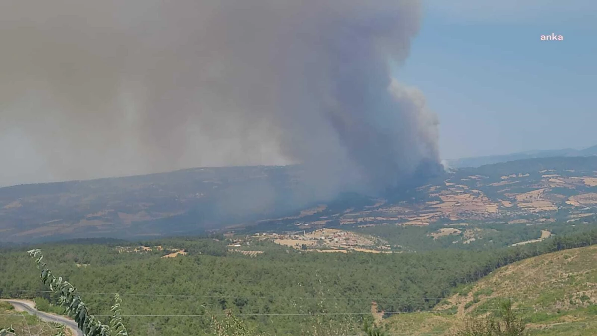 Çanakkale\'de Orman Yangını Nedeniyle 3 Köy ve 3 Mahalle Boşaltıldı