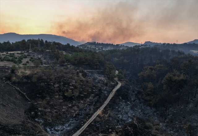 Çanakkale'de yangının boyutu gün ağarınca ortaya çıktı Çanakkale'de yangının boyutu gün ağarınca ortaya çıktı