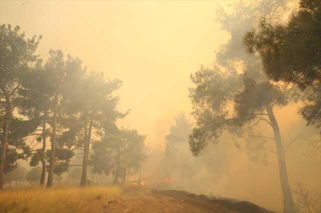 Çanakkale'deki orman yangınında 11 köy tahliye edildi