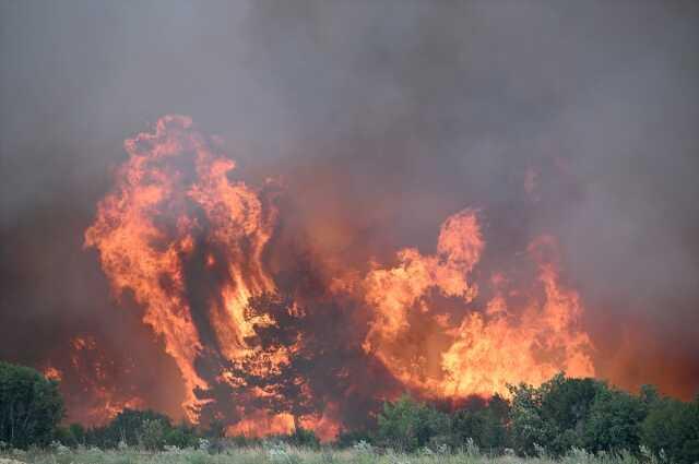 Çanakkale'deki orman yangınında 11 köy tahliye edildi