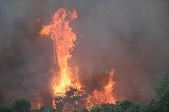 Çanakkale'deki orman yangınında 11 köy tahliye edildi