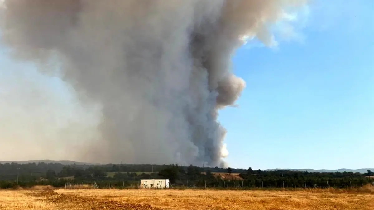 Türk Silahlı Kuvvetleri, Çanakkale\'deki yangınlara 65 sorti yaparak müdahale etti