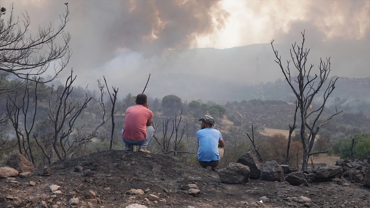 Çanakkale\'deki Yangında 1500 Hektarlık Alan Zarar Gördü