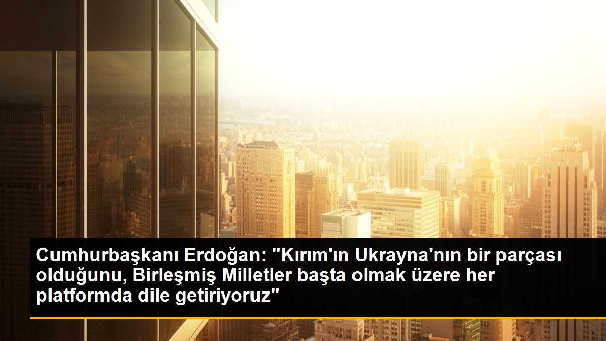Cumhurbaşkanı Erdoğan: "Kırım\'ın Ukrayna\'nın bir parçası olduğunu, Birleşmiş Milletler başta olmak üzere her platformda dile getiriyoruz"