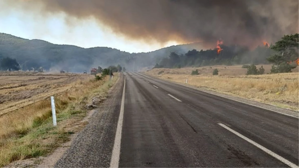 Eskişehir\'de çıkan orman yangını nedeniyle kara yolu ulaşıma kapatıldı